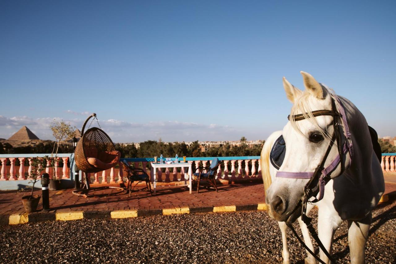 Heru Pyramids View Hotel Káhira Exteriér fotografie